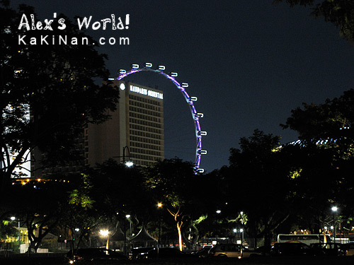 Singapore City's Night View